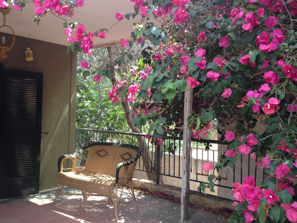 Kokos Traditional Family House Sounion Exterior foto